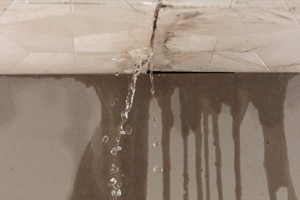 Professional Sewage Cleanup technician working in New Middletown, OH